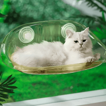 Lit Suspendu Moderne pour Chats